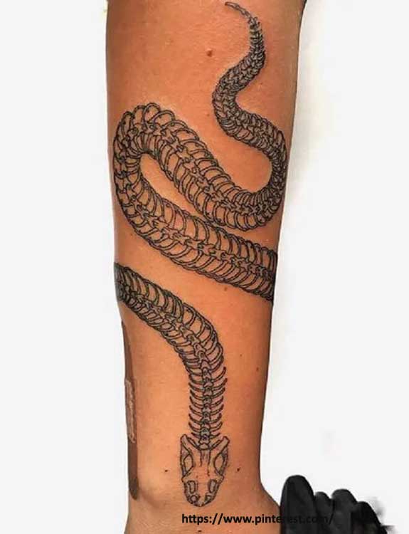 Snake Skeleton Tattoo Meaning