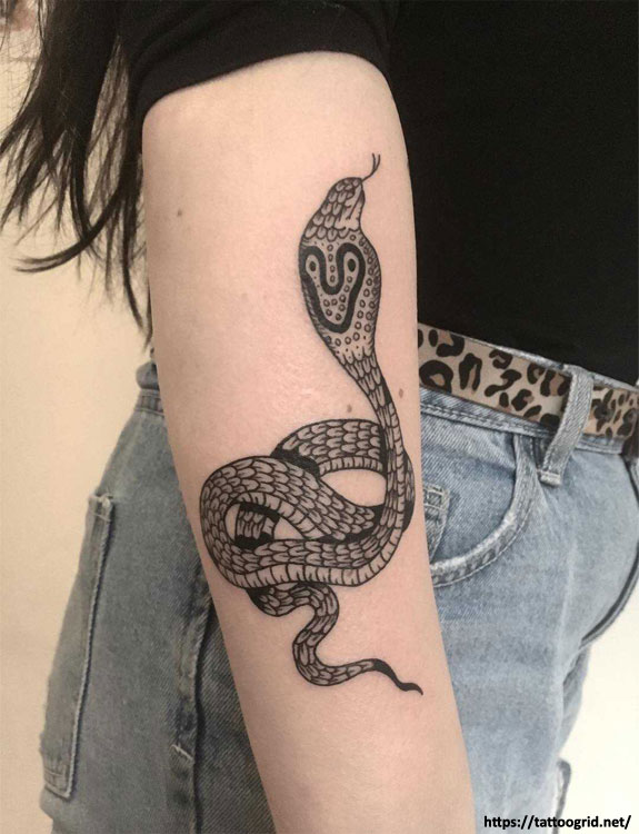 The Cobra Tattoo