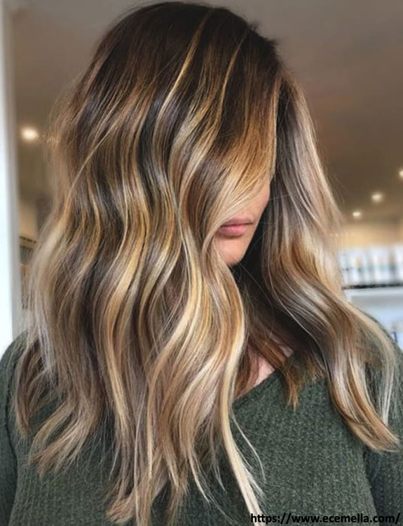 Brunette Highlights