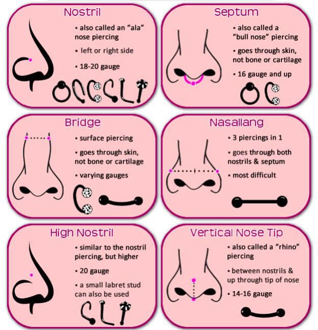 10 Types of Nose Piercings 2023, Healing Time, Styling & Nose Jewelry