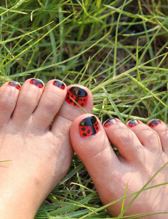 Lady Bug lovers