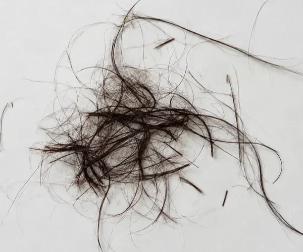 Loose hair strands scattered on a white surface, with a mix of long and short broken strands.