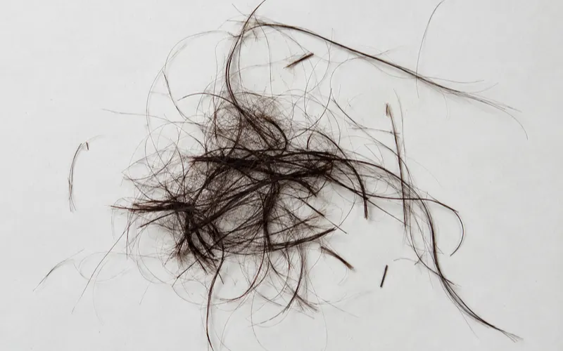 Loose hair strands scattered on a white surface, with a mix of long and short broken strands.