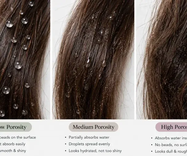 Close-up comparison of low, medium and high porosity hair showing how water droplets sit on each type.