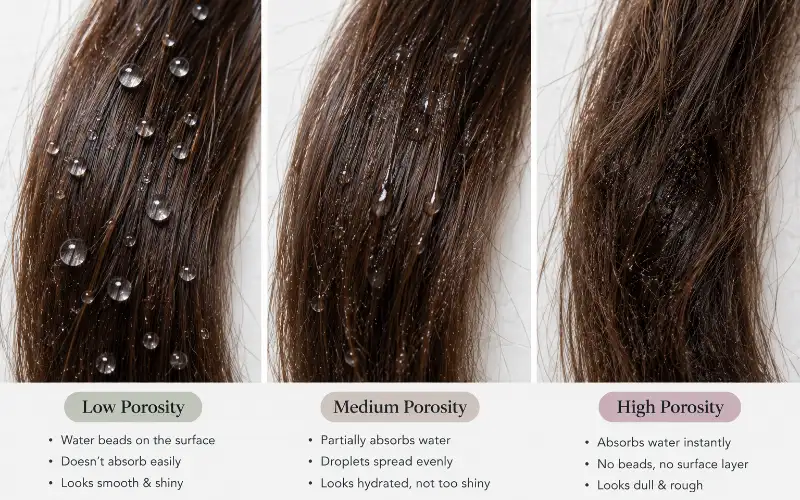 Close-up comparison of low, medium and high porosity hair showing how water droplets sit on each type.
